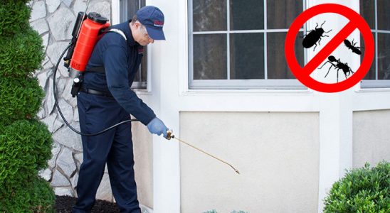 Ünye Bit İlaçlama böcek ilaçlama ve haşere kontrolü — ilaclama-tr.com